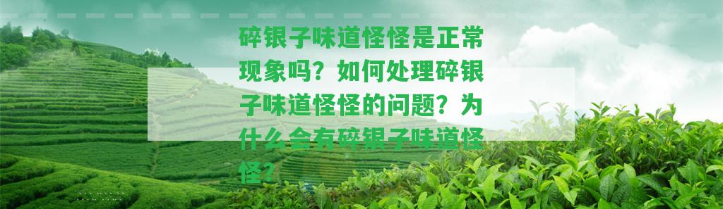 碎銀子味道怪怪是正常現(xiàn)象嗎？怎樣解決碎銀子味道怪怪的疑問？為什么會有碎銀子味道怪怪？