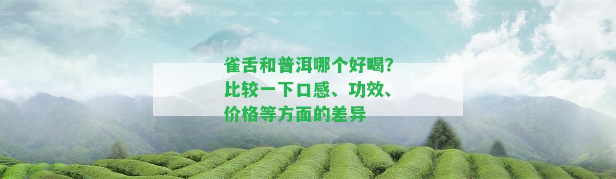 雀舌和普洱哪個好喝？比較一下口感、功效、價格等方面的差異