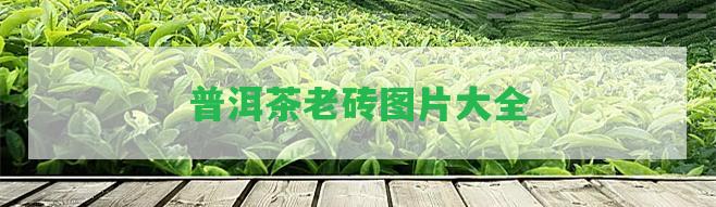 普洱茶老磚圖片大全