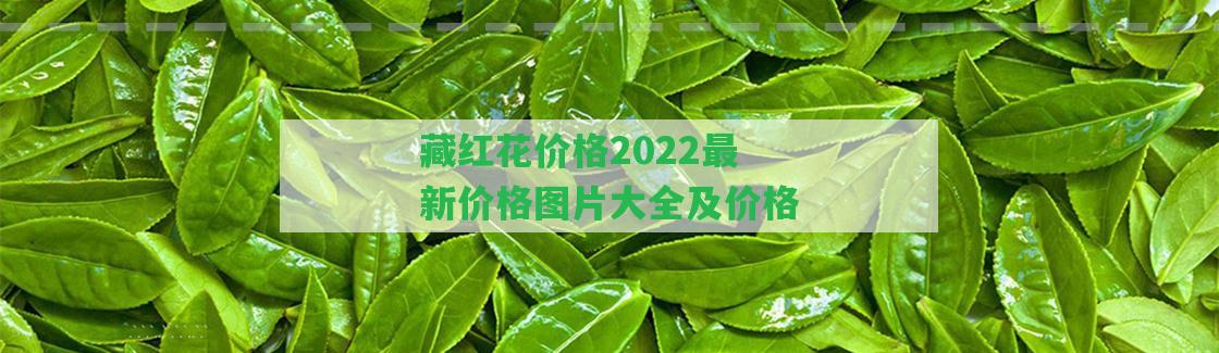 藏紅花價(jià)格2022最新價(jià)格圖片大全及價(jià)格