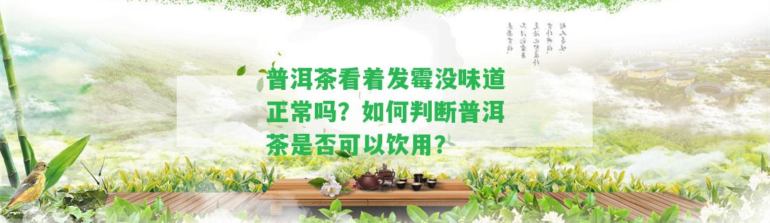 普洱茶看著發(fā)霉沒(méi)味道正常嗎？怎樣判斷普洱茶是不是可以飲用？