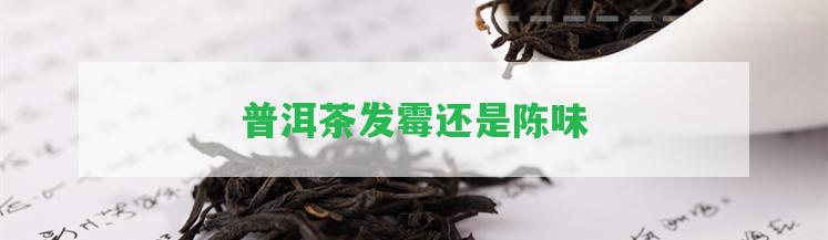 普洱茶發(fā)霉還是陳味