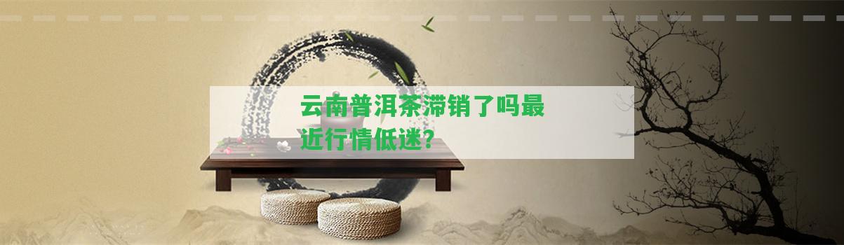 云南普洱茶滯銷了嗎最近行情低迷？