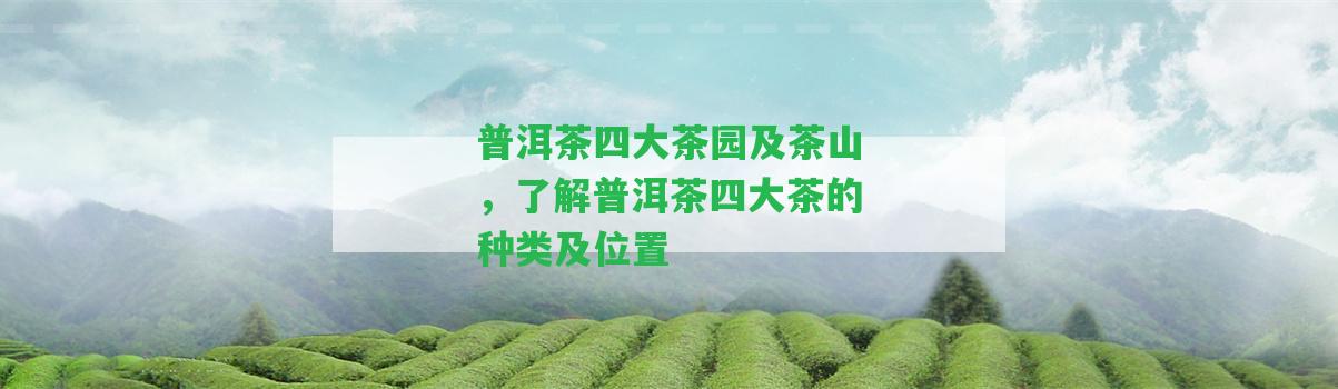 普洱茶四大茶園及茶山，熟悉普洱茶四大茶的種類(lèi)及位置