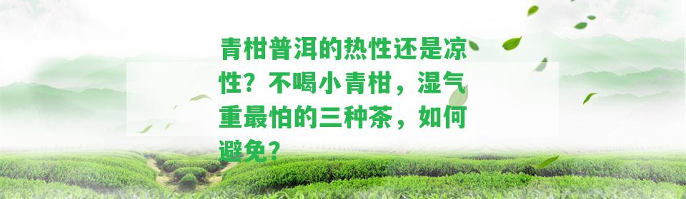 青柑普洱的熱性還是涼性？不喝小青柑，濕氣重最怕的三種茶，怎樣避免？