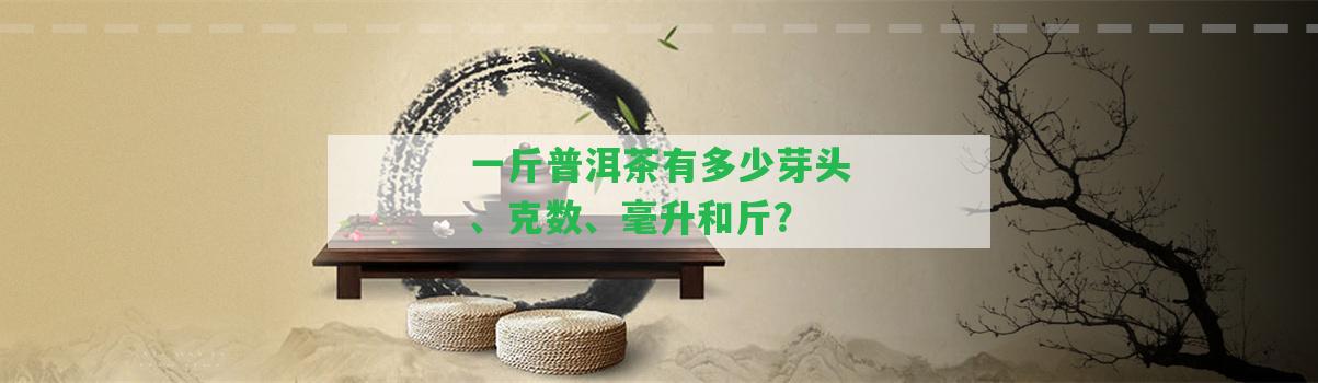 一斤普洱茶有多少芽頭、克數(shù)、毫升和斤？