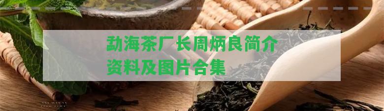 勐海茶廠長(zhǎng)周炳良簡(jiǎn)介資料及圖片合集