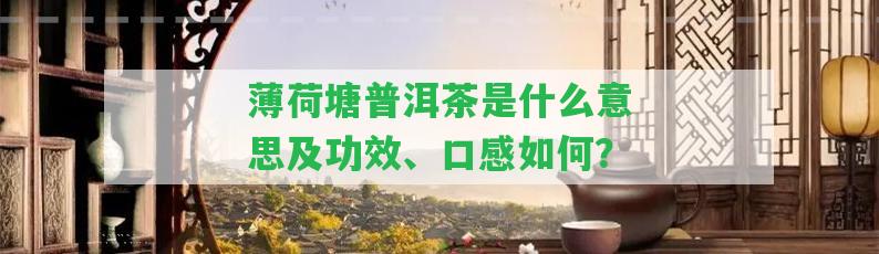 薄荷塘普洱茶是什么意思及功效、口感怎樣？