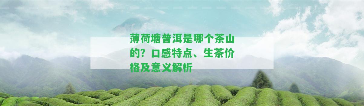 薄荷塘普洱是哪個(gè)茶山的？口感特點(diǎn)、生茶價(jià)格及意義解析