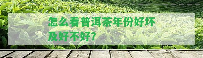 怎么看普洱茶年份好壞及好不好？