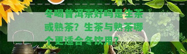 冬喝普洱茶好嗎是生茶或熟茶？生茶與熟茶哪個(gè)更適合冬飲用？