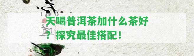 天喝普洱茶加什么茶好？探究最佳搭配！