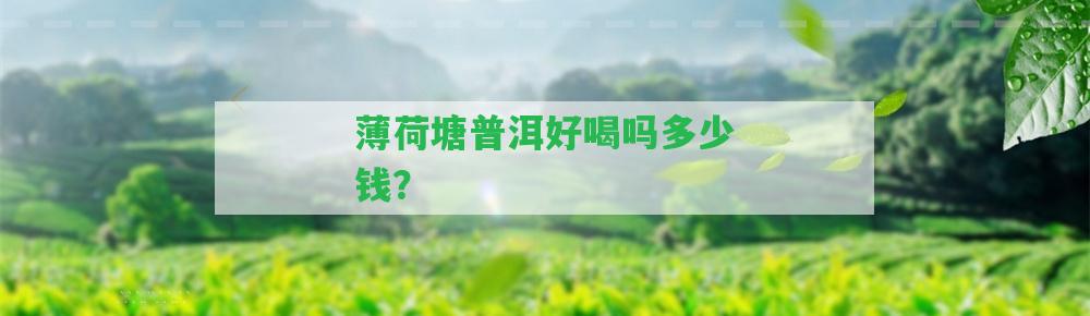 薄荷塘普洱好喝嗎多少錢？