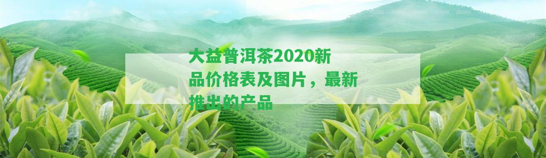 大益普洱茶2020新品價格表及圖片，最新推出的產(chǎn)品