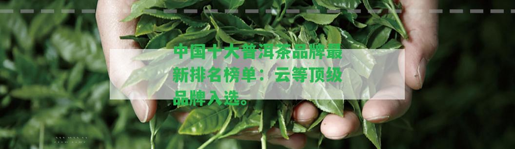 中國十大普洱茶品牌最新排名榜單：云等頂級品牌入選。