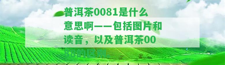 普洱茶0081是什么意思啊——包含圖片和讀音，以及普洱茶0088的區(qū)別。