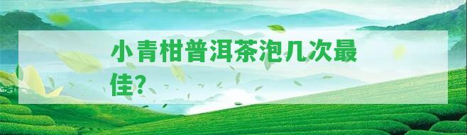 小青柑普洱茶泡幾次最佳？