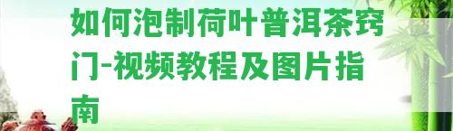 怎樣泡制荷葉普洱茶竅門-視頻教程及圖片指南