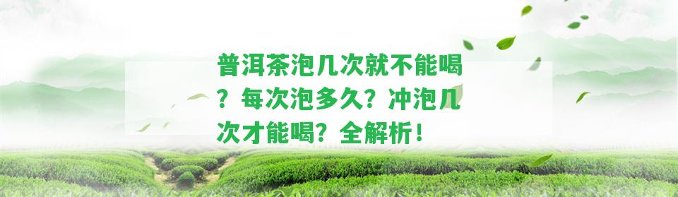 普洱茶泡幾次就不能喝？每次泡多久？沖泡幾次才能喝？全解析！