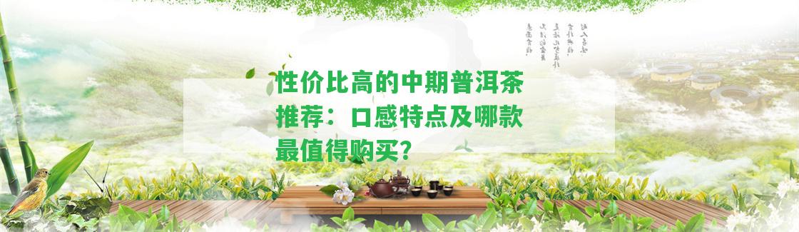 性價比高的中期普洱茶推薦：口感特點及哪款最值得購買？