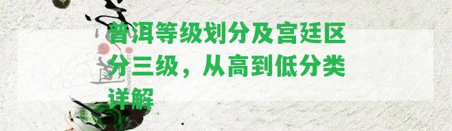 普洱等級劃分及宮廷區(qū)分三級，從高到低分類詳解