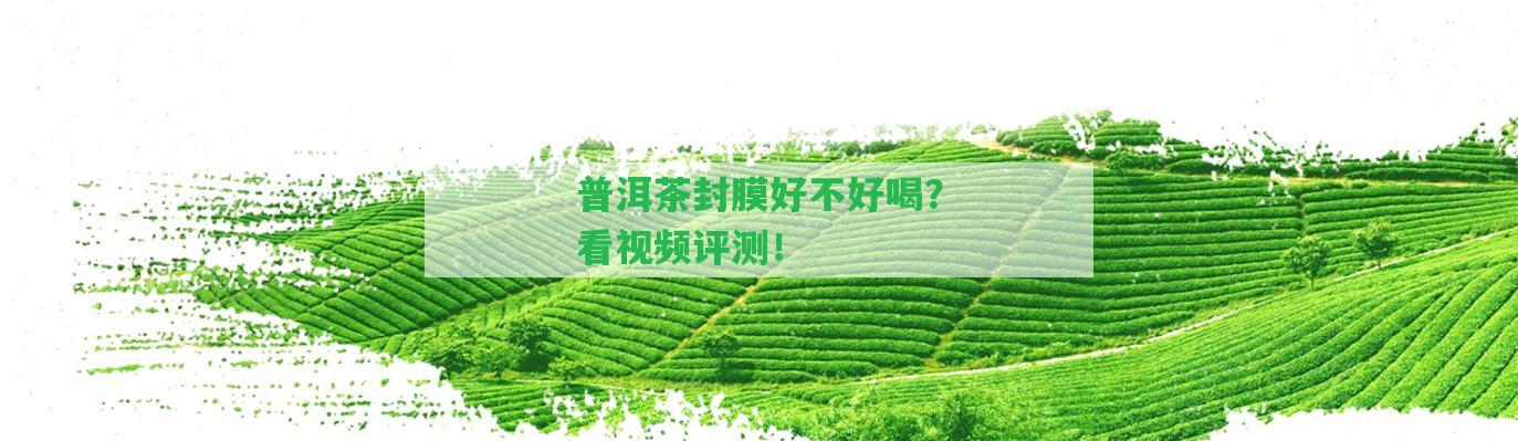 普洱茶封膜好不好喝？看視頻評(píng)測(cè)！