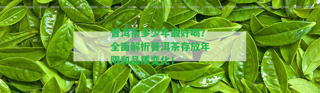 普洱茶多少年最好喝？全面解析普洱茶存放年限和品質變化！