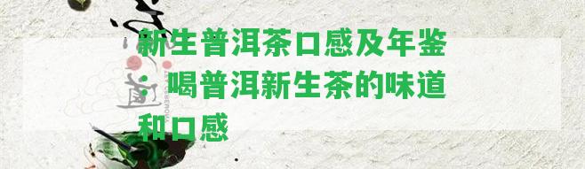 新生普洱茶口感及年鑒：喝普洱新生茶的味道和口感