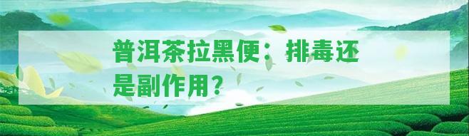 普洱茶拉黑便：排毒還是副作用？