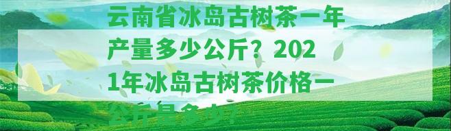 云南省冰島古樹茶一年產(chǎn)量多少公斤？2021年冰島古樹茶價格一公斤是多少？