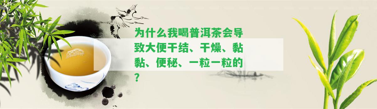 為什么我喝普洱茶會引起大便干結(jié)、干燥、黏黏、便秘、一粒一粒的？