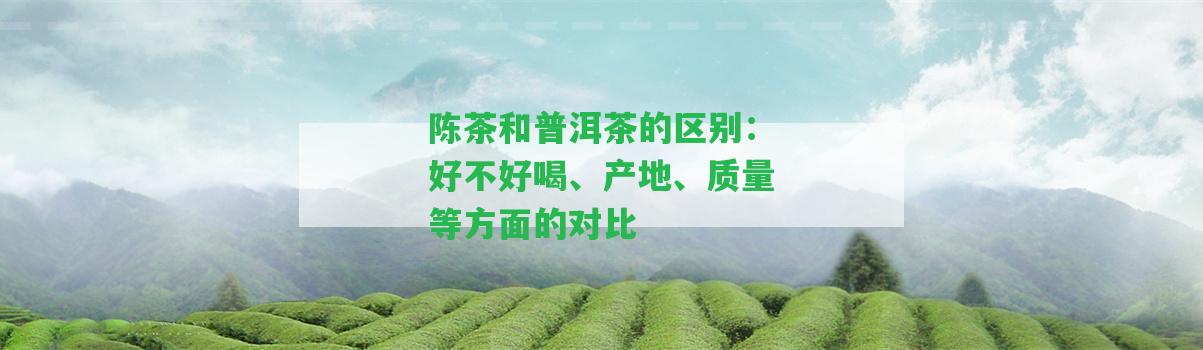 陳茶和普洱茶的區(qū)別：好不好喝、產(chǎn)地、品質(zhì)等方面的對(duì)比