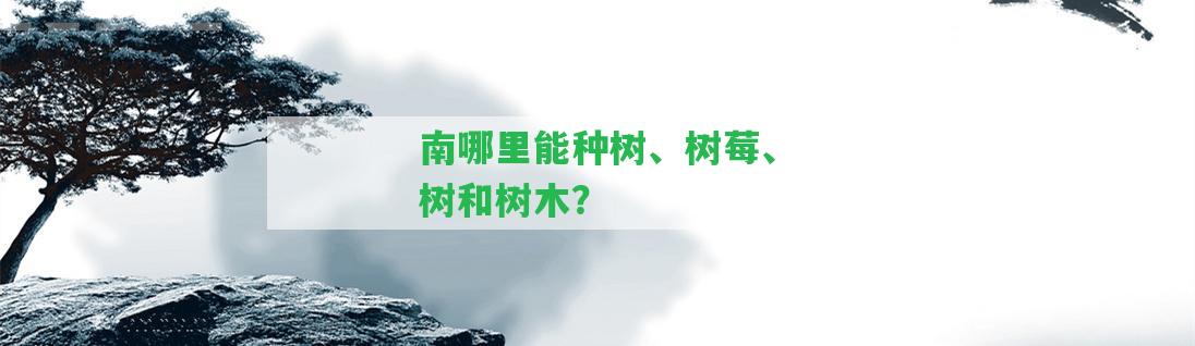 南哪里能種樹、樹莓、樹和樹木？