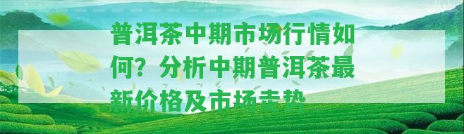 普洱茶中期市場行情怎樣？分析中期普洱茶最新價格及市場走勢