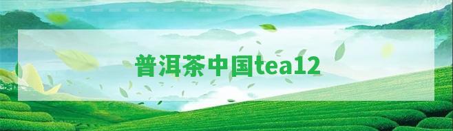 普洱茶中國tea12