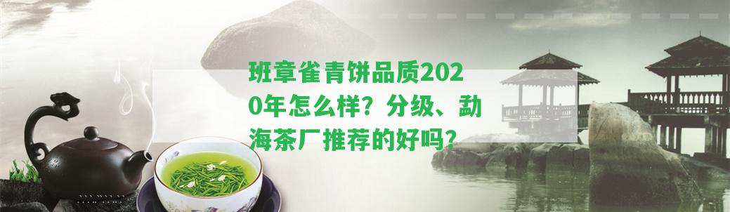 班章雀青餅品質(zhì)2020年怎么樣？分級(jí)、勐海茶廠(chǎng)推薦的好嗎？