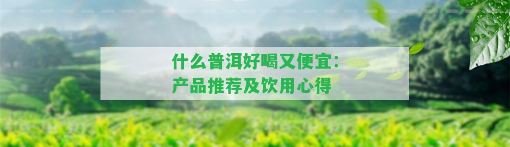 什么普洱好喝又便宜：產品推薦及飲用心得