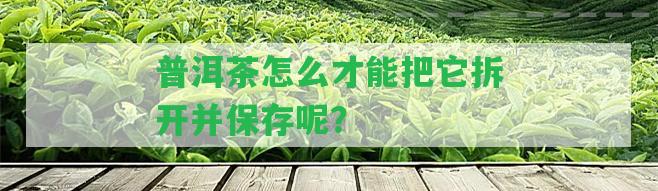 普洱茶怎么才能把它拆開并保存呢？