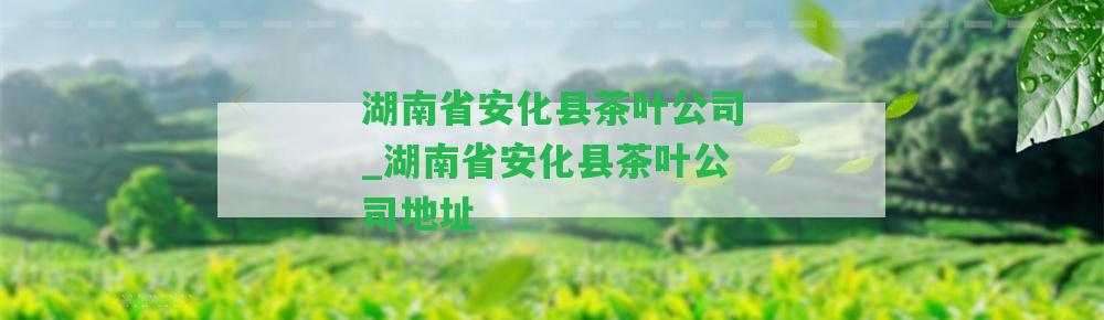 湖南省安化縣茶葉公司_湖南省安化縣茶葉公司地址