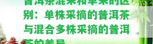 普洱茶混采和單采的區(qū)別：?jiǎn)沃瓴烧钠斩枧c混合多株采摘的普洱茶的差異。