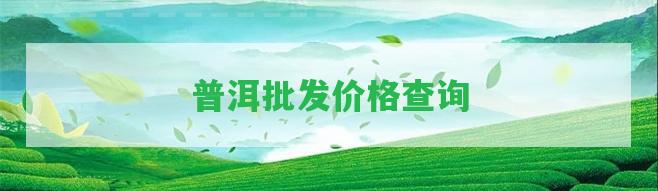 普洱批發(fā)價格查詢