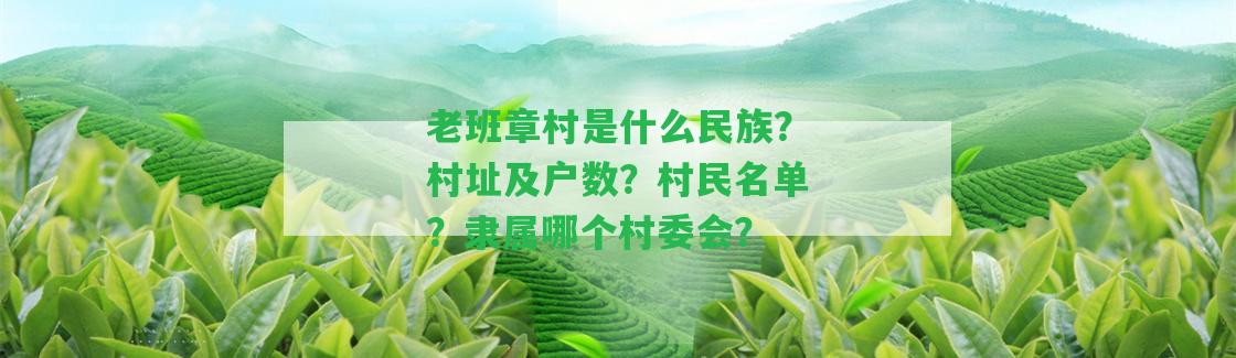 老班章村是什么民族？村址及戶數(shù)？村民名單？隸屬哪個(gè)村委會(huì)？