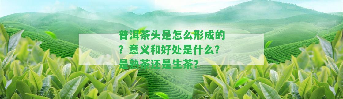 普洱茶頭是怎么形成的？意義和好處是什么？是熟茶還是生茶？