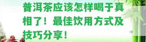 普洱茶應(yīng)怎樣喝于真相了！最佳飲用方法及技巧分享！