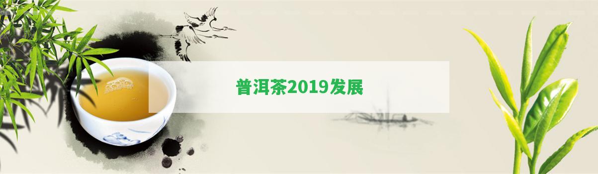 普洱茶2019發(fā)展