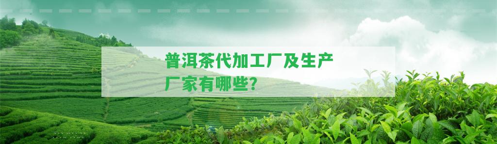 普洱茶代加工廠及生產(chǎn)廠家有哪些？