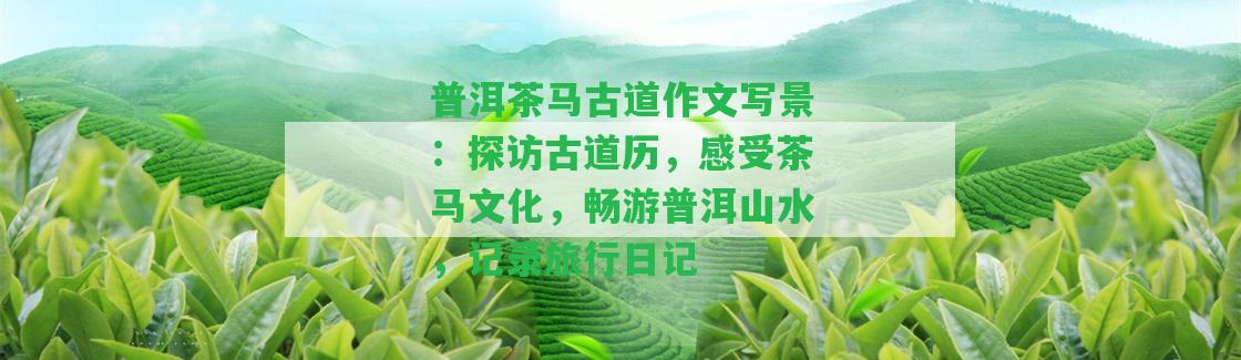 普洱茶馬古道作文寫(xiě)景：探訪古道歷，感受茶馬文化，暢游普洱山水，記錄旅行日記