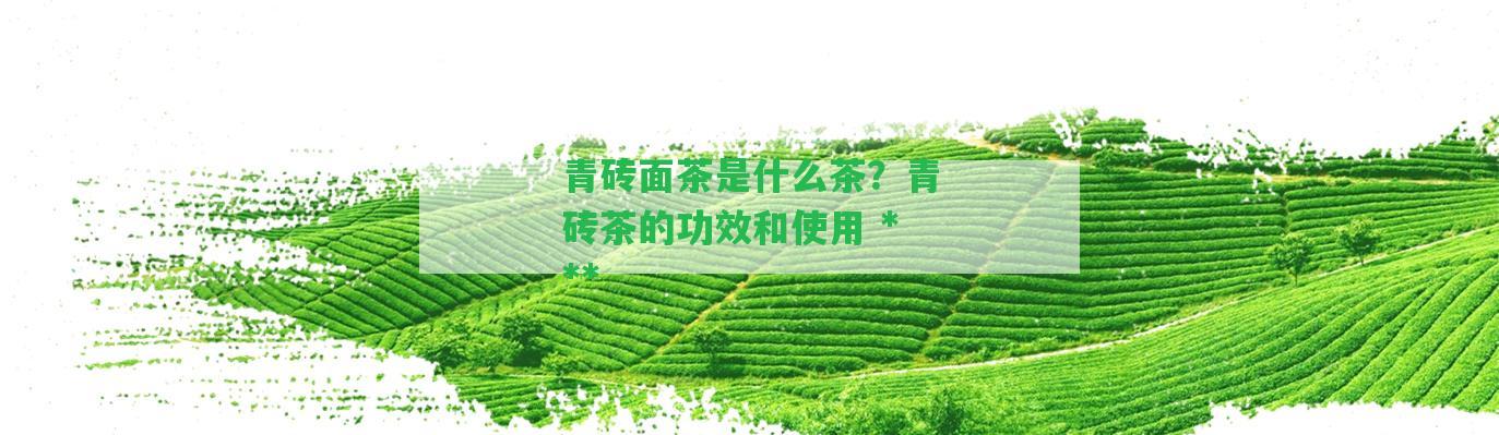 青磚面茶是什么茶？青磚茶的功效和采用 