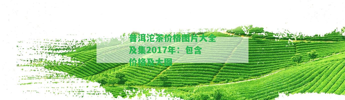 普洱沱茶價格圖片大全及集2017年：包含價格及大圖