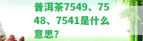 普洱茶7549、7548、7541是什么意思？